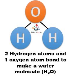 example of a substance that has a hydrogen bond