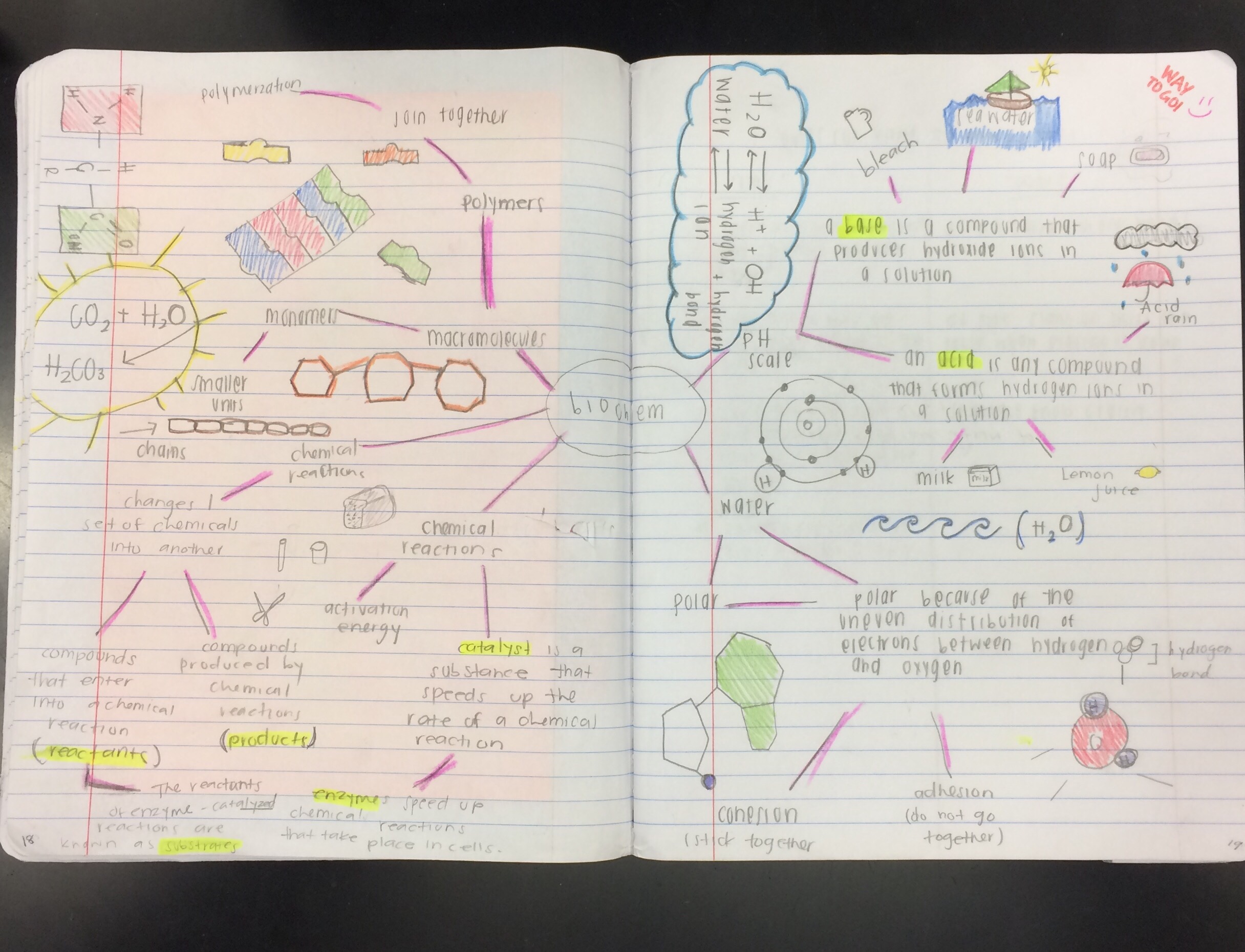 example of concept map in science