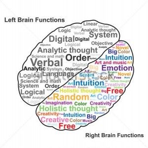 lateralization of brain function example