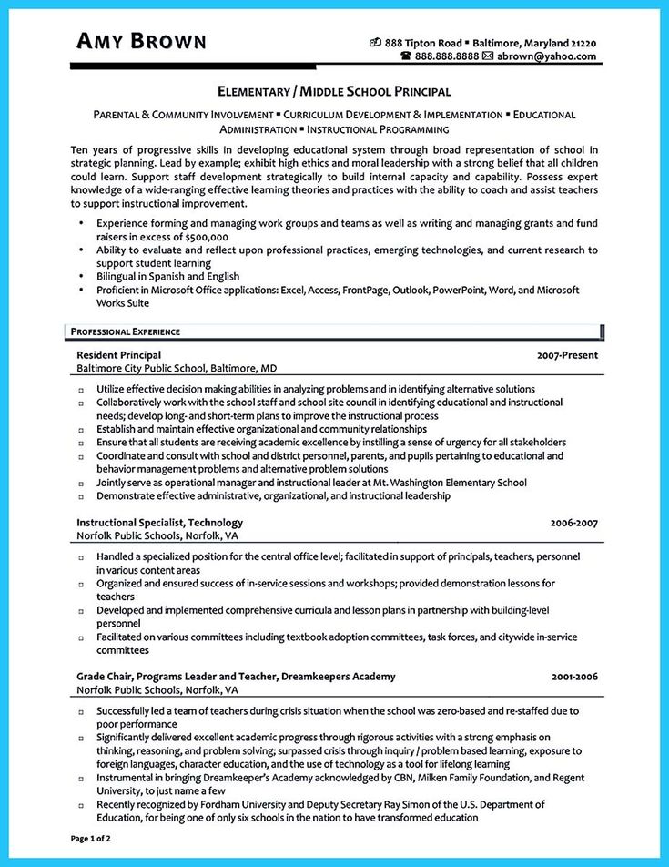 example of successful resume for indigo