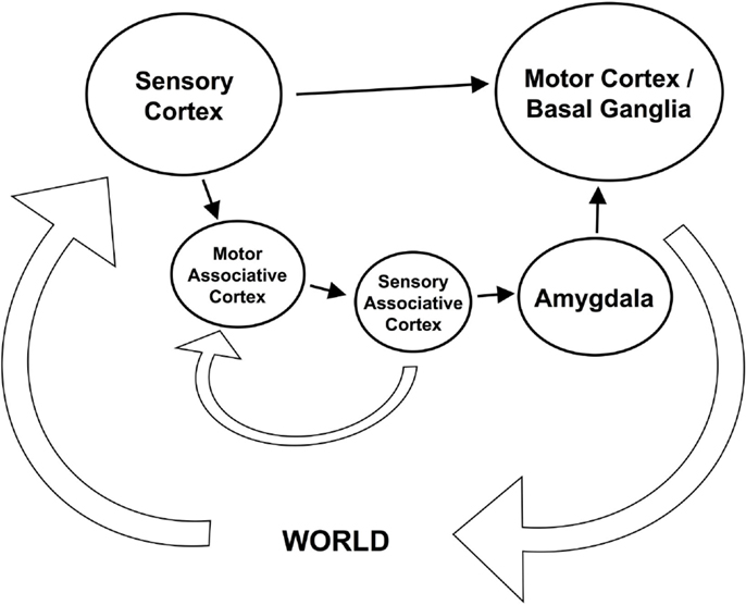 what is an example of episodic memory