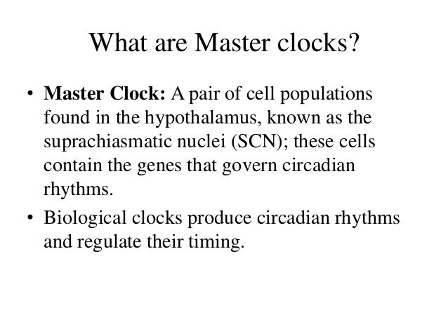 what is an example of circadian rhythm in plants