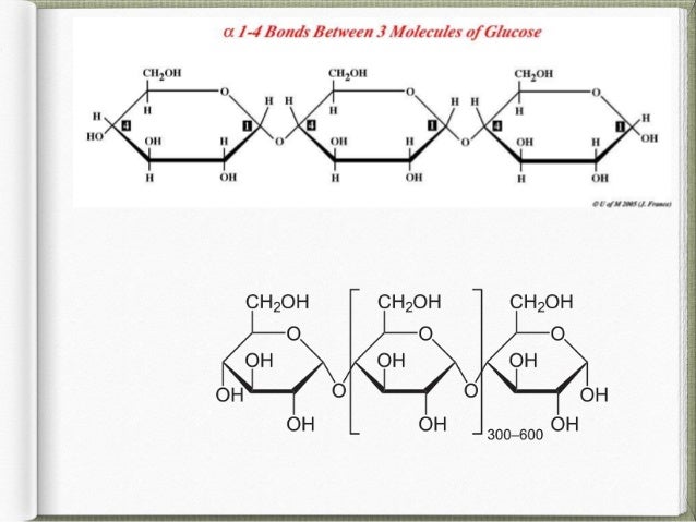 cellulose is an example of what type of molecule