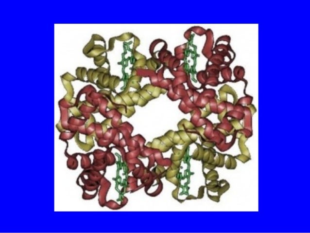 example of a contractile protein