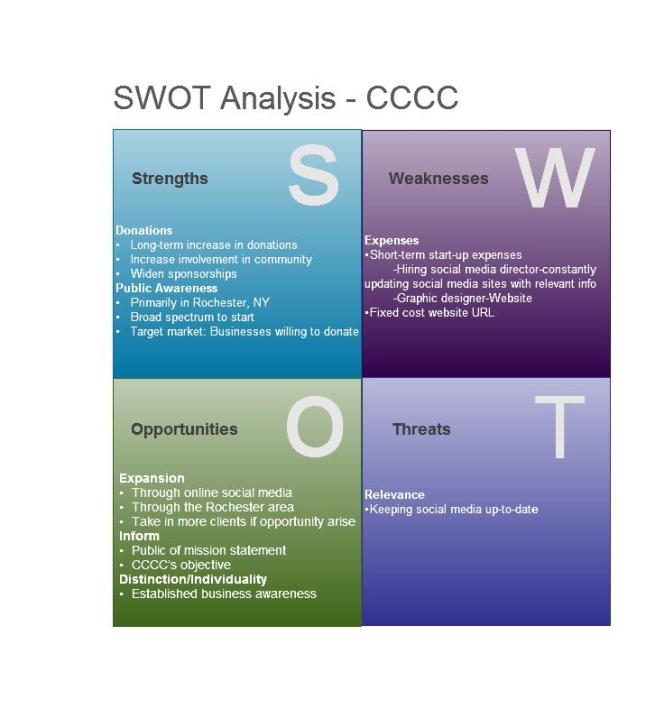 personal swot analysis paper example