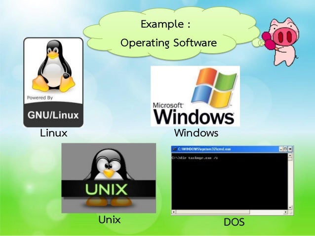 computer programs or software are an example of