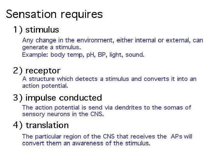 what is example of sensory adaptation