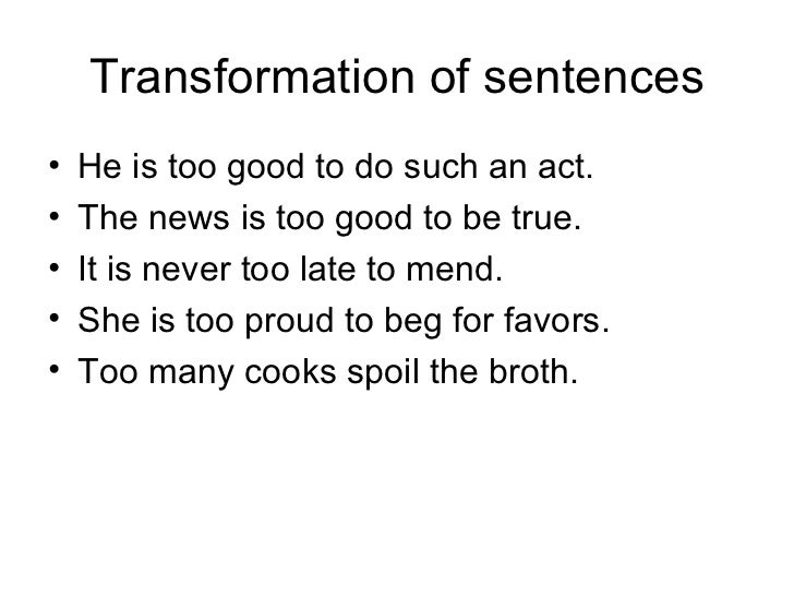 too many cooks spoil the broth example sentence