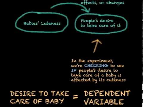 example of control variable psychology