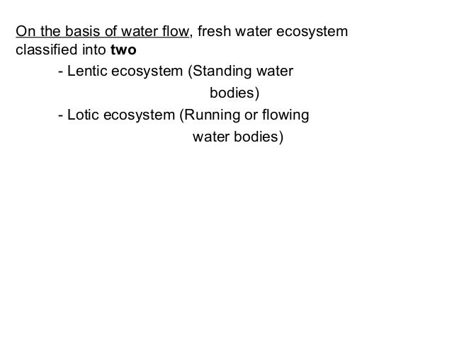 pond is an example of lentic or lotic ecosystem